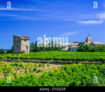 Côtes-du-Rhône vignoble, hangar en pierre, Buisson village, Vaucluse, Provence, France, Europe Banque D'Images