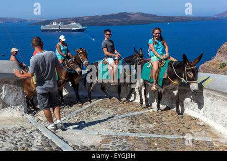 Santorini ânes transportant des touristes sur la route reliant le port à la ville de l'île grecque de Fira, Cyclades, Santorini Grèce tourisme Banque D'Images