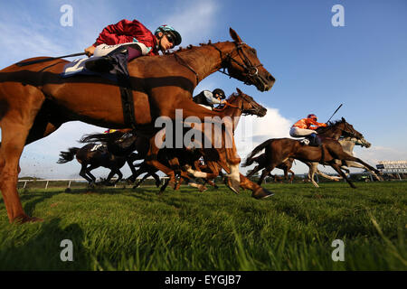 Iffezheim, Allemagne, chevaux et jockeys lors d'une course de galop en action Banque D'Images