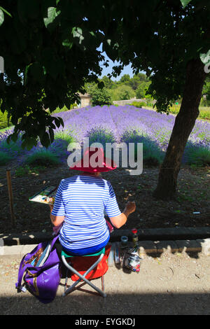 Un artiste peint la lavande dans le jardin à la Maison de Sante Monastère de Saint Paul à Saint Remy Banque D'Images