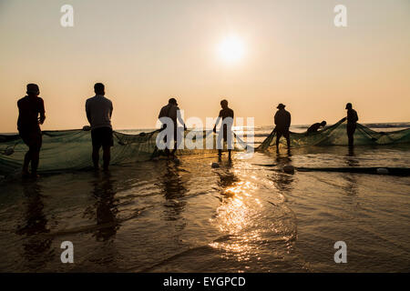 Un groupe de pêcheurs tirant des filets de la mer, dans le coucher de soleil couleur or Banque D'Images