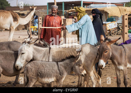 Le Niger, Housa homme barting avec bétail touareg trader à Agadez marché de l'élevage ; Agadez Banque D'Images
