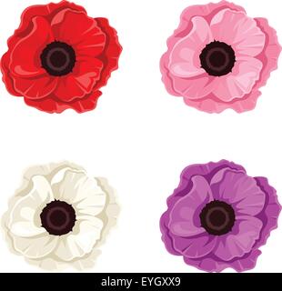 Quatre coquelicots colorés. Vector illustration. Illustration de Vecteur