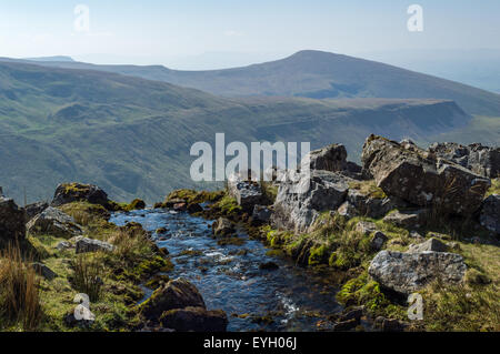 Tasse haute pseudo sur le Pennine Way, vu de dessus Hannahs cascade Président Banque D'Images