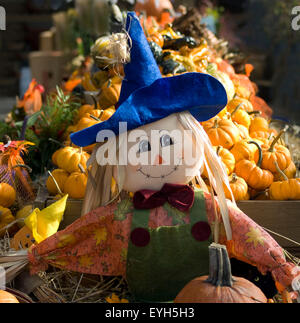 Happy smiling épouvantail et de citrouilles au marché local, l'automne panier mignon décoration visage heureux sur le terrain saison halloween orange souriant de l'épouvantail Banque D'Images