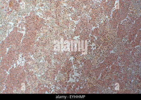 Brèche rouge ou brutes de fonderie pour mur ou texture de fond de l'espace de copie en format horizontal à Majorque, îles Baléares, Espagne. Banque D'Images