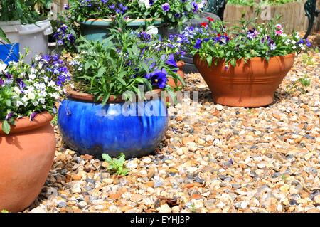 Détail de vieux pots de fleurs dans le jardin Banque D'Images