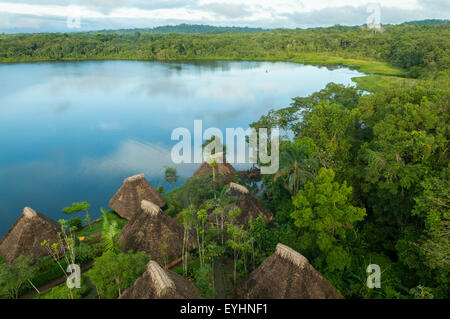 Wilderness Lodge Napo Napo sur lagon, NP, Équateur Yasuni Banque D'Images