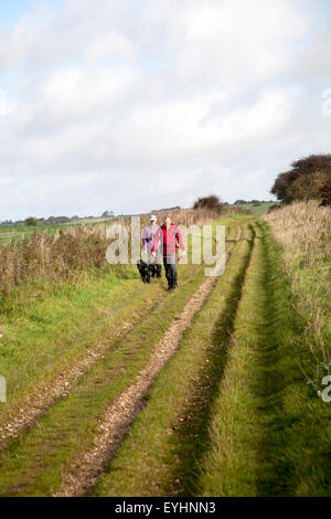 Le sentier de grande Ridgeway datant de la préhistoire sur Overton Hill, Marlborough Downs, Wiltshire, England, UK Banque D'Images