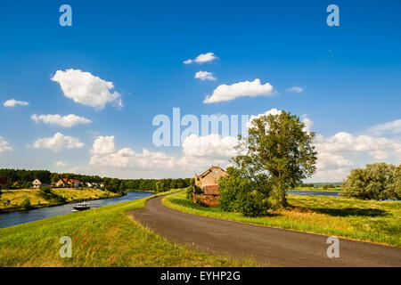 La piste cyclable d'Oder-Neisse à fleuve Oder, Hohensaaten, Brandenburg, Allemagne Banque D'Images