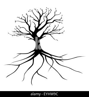 arbre avec des racines Banque D'Images