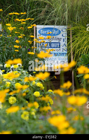 Transat, dans le style de plage flower show au jardin à Ball Colegrave jardins ouverts la journée. Adderbury, Banbury, Oxfordshire, Angleterre Banque D'Images