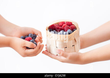 Les enfants, les mains tenant les framboises et les bleuets, corbeille de fruits, isolated on white Banque D'Images