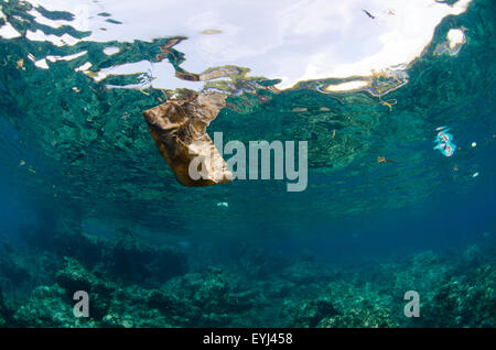 Les débris flottant dans la colonne d'eau dont le plastique et autres déchets, Tulamben, Bali, Indonésie, l'Océan Pacifique Banque D'Images