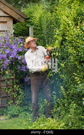 Homme portant des lunettes et des gants de jardin coupe haie avec un coupe-haie d'essence Banque D'Images