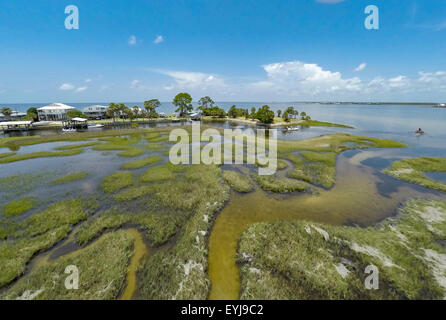 Dark Island, réserve aquatique de graminées de la mer de Big Bend, Floride Banque D'Images