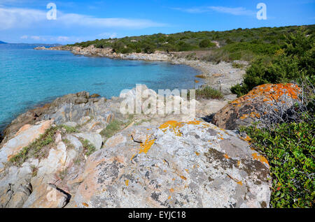 La Sardaigne, Italie : une plage rocheuse près de Golfo Aranci Banque D'Images