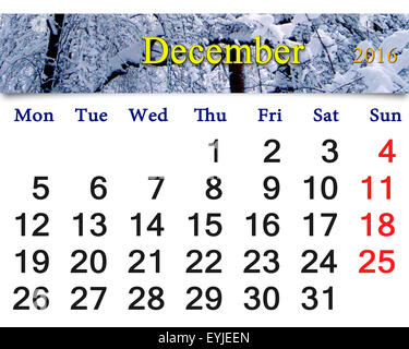 Beau calendrier pour décembre 2016 avec le ruban de la forêt d'hiver. Calendrier pour l'impression et utilisation dans la vie de bureau. Banque D'Images