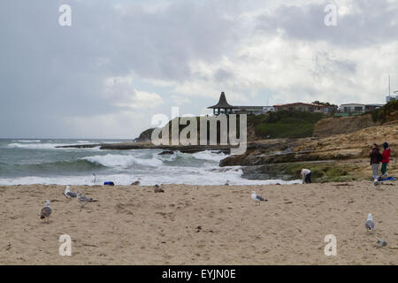 Santa Cruz, CA, USA. 30 juillet, 2015. Natural Bridges State Beach Santa Cruz CA © Marty Bicek/ZUMA/Alamy Fil Live News Banque D'Images