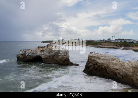 Santa Cruz, CA, USA. 30 juillet, 2015. Natural Bridges State Beach Santa Cruz CA © Marty Bicek/ZUMA/Alamy Fil Live News Banque D'Images