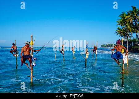 Sri Lanka, Province du Sud, la plage de la côte sud, la plage de Mirissa, pêcheurs sur pilotis sur la côte Banque D'Images