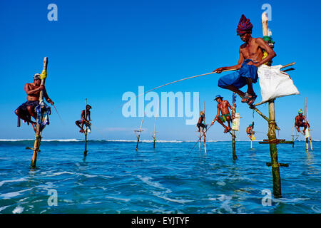 Sri Lanka, Province du Sud, la plage de la côte sud, la plage de Mirissa, pêcheurs sur pilotis sur la côte Banque D'Images