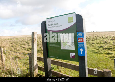 Fyfield bas réserve naturelle nationale signe, Wiltshire, Marlborough Downs, Wiltshire, England, UK Banque D'Images