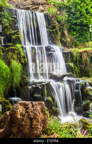 La chute d'eau connue sous le nom de la Cascade sur le Bowood Estate dans le Wiltshire en été. Banque D'Images