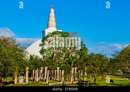 Le Sri Lanka, l'Île, Anuradhapura, capitale historique de Sri Lanka, UNESCO World Heritage Site, dagoba Ruvanvelisaya Banque D'Images