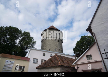 Kiek in de Kök (signifiant 'Peep dans la cuisine') est une tour d'artillerie à Tallinn, Estonie, construit en 1475. Banque D'Images