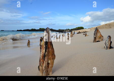 Plage à Îles Galápagos Banque D'Images