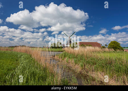 L'usine Seriemer avec Neuharlingersiel, Harlingerland, en Frise orientale, Basse-Saxe, Allemagne coud, Banque D'Images