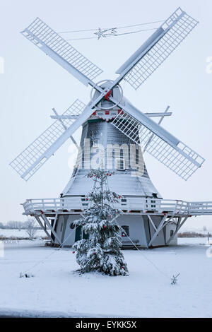 L'humeur d'hiver, arbre de Noël, l'usine Seriemer avec Neuharlingersiel, Harlingerland, en Frise orientale, Basse-Saxe, Allemagne, Banque D'Images