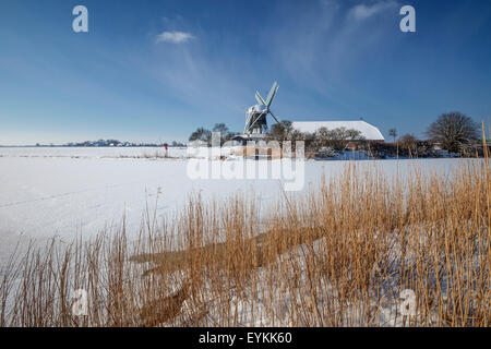 L'humeur d'hiver, Seriemer avec moulin Neuharlingersiel, Harlingerland, en Frise orientale, Basse-Saxe, Allemagne, Banque D'Images