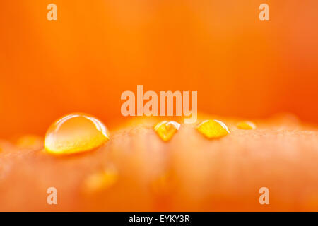 DROPS numéro orange Banque D'Images