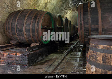 Ancienne cave à bière traditionnelle, Grunge avec des fûts de chêne Banque D'Images