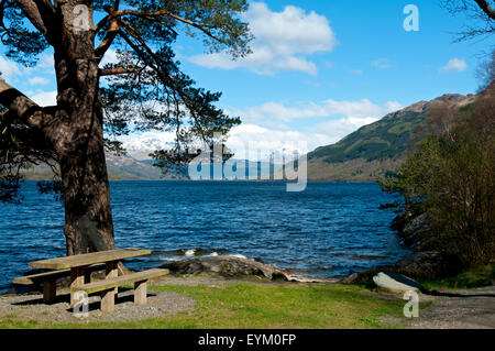 Ben Vorlich à partir de la rive est du Loch Lomond à Rowardennan, Stirlingshire, Scotland, UK Banque D'Images