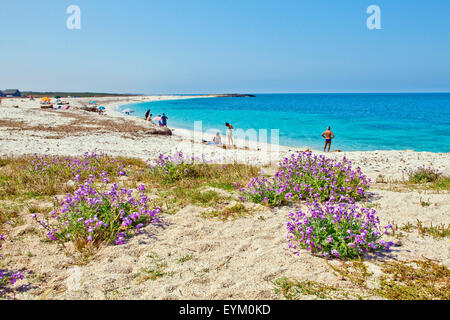 Grain De Riz Beach Sur La Sardaigne Banque Dimages Photo