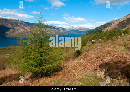 Le Loch Lomond, à au nord du chemin Ben Lomond, Stirlingshire, Scotland, UK Banque D'Images