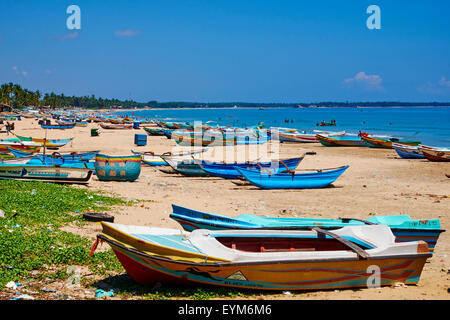 Sri Lanka, Ceylan, Province de l'Est, la Côte Est, Trincomalee, village de pêcheurs Banque D'Images