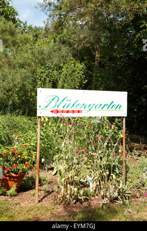 Jardin fleuri, Mecklembourg, été, Banque D'Images