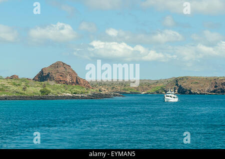 L'île South Plaza, îles Galapagos, Equateur Banque D'Images