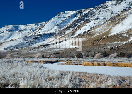 Étang gelé à l'hiver, Rim été lac de faune, de l'Oregon Outback Scenic Byway, Oregon Banque D'Images