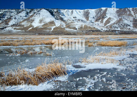 Étang gelé à l'hiver, Rim été lac de faune, de l'Oregon Outback Scenic Byway, Oregon Banque D'Images