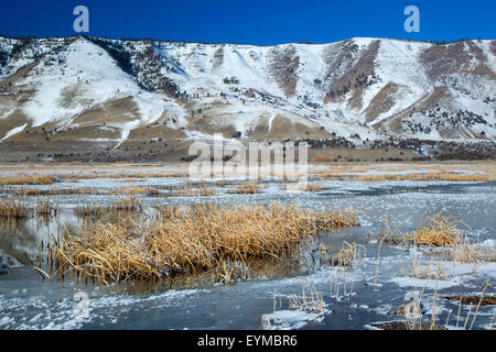 Étang gelé à l'hiver, Rim été lac de faune, de l'Oregon Outback Scenic Byway, Oregon Banque D'Images