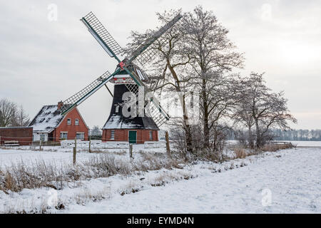 L'humeur d'hiver, 'Tjadens Südcoldinne' Mühle, municipalité, Grossheide, en Frise orientale, Basse-Saxe, Allemagne, Europe Banque D'Images