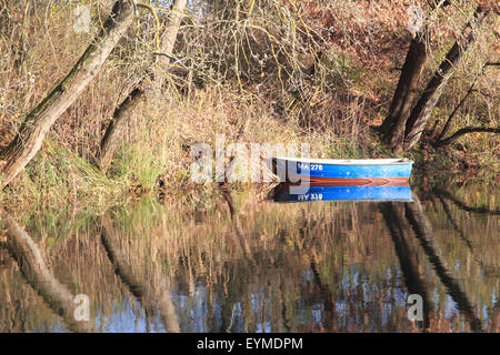 Les zones humides (naturelles) meadowlands en automne Banque D'Images