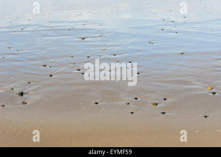 Cailloux dans le sable cause de dessins par l'eau en mouvement Banque D'Images