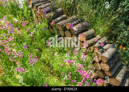 Un tas de bois de sciage dans le jardin Banque D'Images