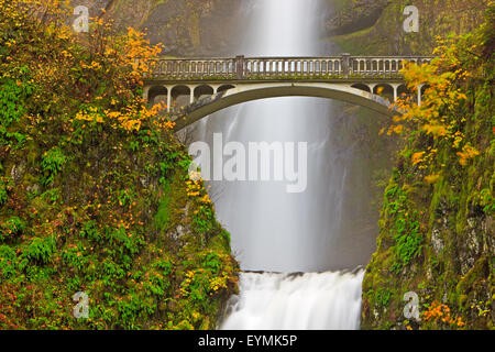 Multnomah Falls d'attraction touristique, un 611-foot-tall rugissant, impressionnante chute d'eau à la fin de l'automne avec Benson, pont Banque D'Images